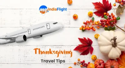 Thanksgiving Travel Tips