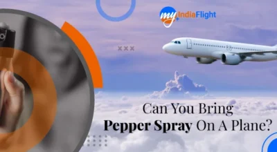 Bring Pepper Spray On A Plane