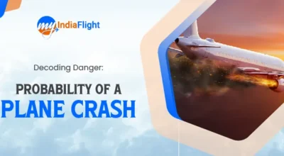 Decoding Danger Probability of a Plane Crash