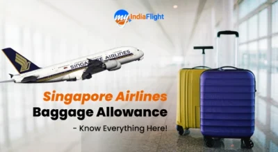 Singapore-Airlines-Baggage-Allowance---Know-Everything-Here!